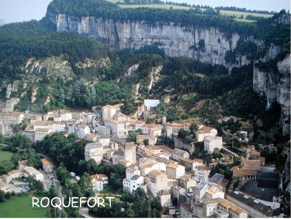 Chambre Au Calme Avec Spa Privatif Gratuit Sud Aveyron Les Palmiers Des Causses Saint-Rome-de-Tarn Exterior photo